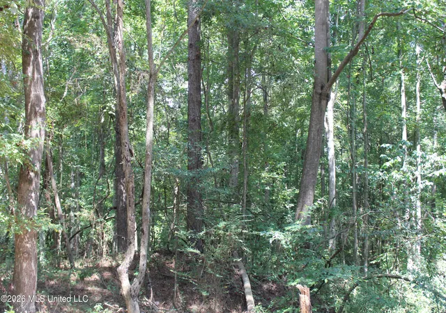 Photo 2 of Land for sale at Rosebud School Rd, Walnut Grove, MS 39189 | MLS# 4158976 | Listing updated on 2026-08-12