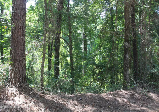 Photo 3 of Land for sale at Rosebud School Rd, Walnut Grove, MS 39189 | MLS# 4158976 | Listing updated on 2026-08-12