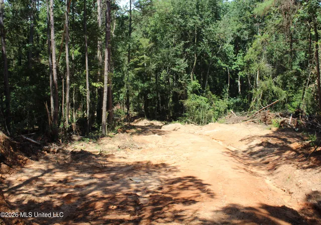 Photo 3 of Land for sale at Rosebud School Rd, Walnut Grove, MS 39189 | MLS# 4158976 | Listing updated on 2026-08-12