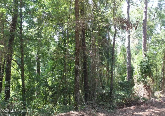 Photo 4 of Land for sale at Rosebud School Rd, Walnut Grove, MS 39189 | MLS# 4158976 | Listing updated on 2026-08-12