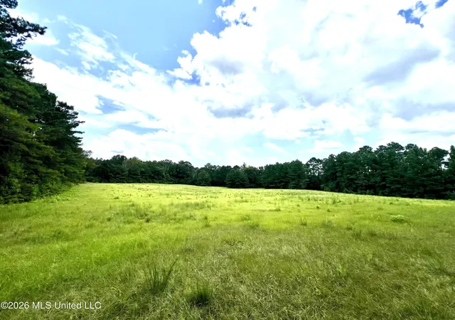 Photo 26 of Sale Pending at 978 Butler Rd Se, Smithdale, MS 39664 | MLS# 4158925 | Listing updated on 2026-08-23