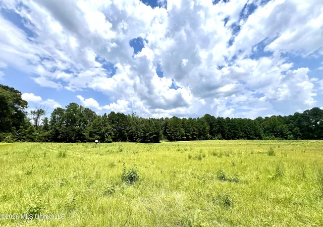 Photo 4 of Sale Pending at 978 Butler Rd SE, Smithdale, MS 39664 | MLS# 4158925 | Listing updated on 2026-08-23