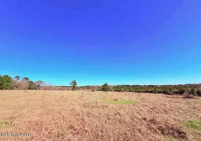 Photo 1 of Sale Pending at John Smith Rd, Mount Hermon, LA 70450 | MLS# 4158712 | Listing updated on 2026-08-31