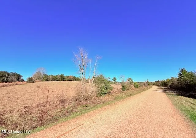 Photo 3 of Sale Pending at John Smith Rd, Mount Hermon, LA 70450 | MLS# 4158712 | Listing updated on 2026-08-31