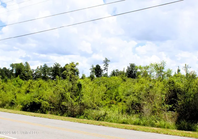 5th image of 64 Acres Beaver Dam Rd, Lucedale, MS 39452 | MLS# 4158802