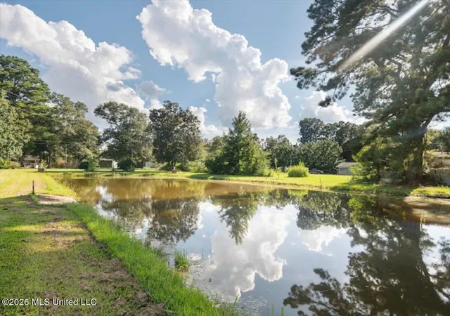 Photo 30 of Sale Pending at 3224 Old Jackson Rd, Forest, MS 39074 | MLS# 4158902 | Listing updated on 2026-09-25