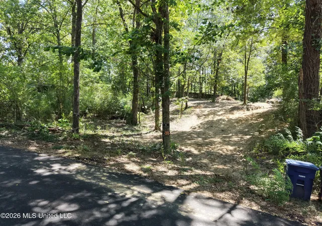 3rd image of Dogwood Dr, Ashland, MS 38603 | MLS# 4158851