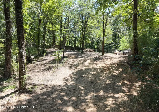 4th image of Dogwood Dr, Ashland, MS 38603 | MLS# 4158851