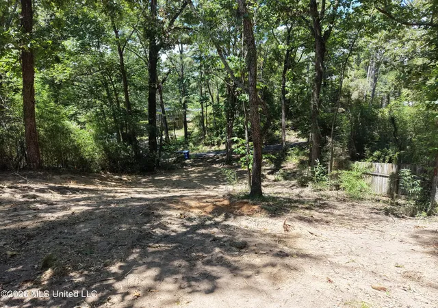 5th image of Dogwood Dr, Ashland, MS 38603 | MLS# 4158851