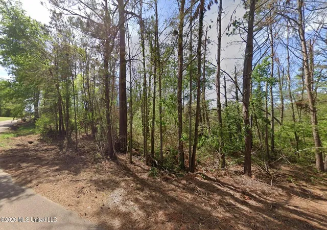 Photo 2 of Land for sale at 15 County Rd 514, Como, MS 38619 | MLS# 4158847 | Listing updated on 2026-08-11