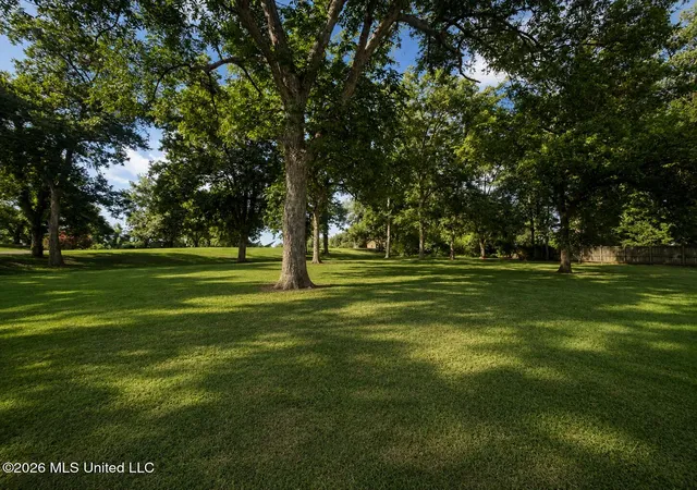 Photo 6 of Land for sale at Neil Cvs, Dundee, MS 38626 | MLS# 4159021 | Listing updated on 2026-09-29