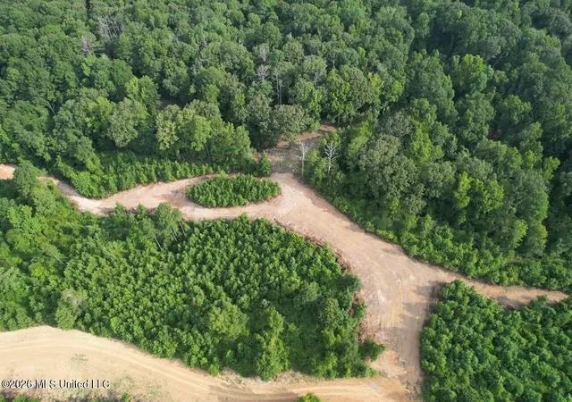 Photo 3 of Sale Pending at Old Oldenburg Rd, Meadville, MS 39653 | MLS# 4158857 | Listing updated on 2026-09-03
