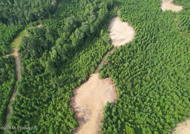 Photo 4 of Sale Pending at Old Oldenburg Rd, Meadville, MS 39653 | MLS# 4158857 | Listing updated on 2026-09-03