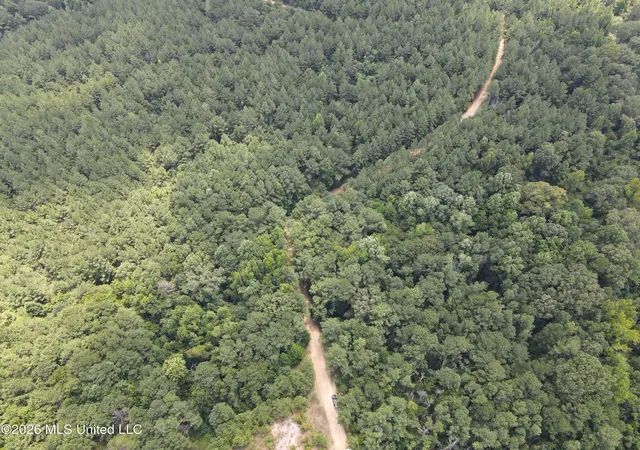 Photo 2 of Land for sale at Ms 28, Pattison, MS 39144 | MLS# 4158936 | Listing updated on 2026-08-12