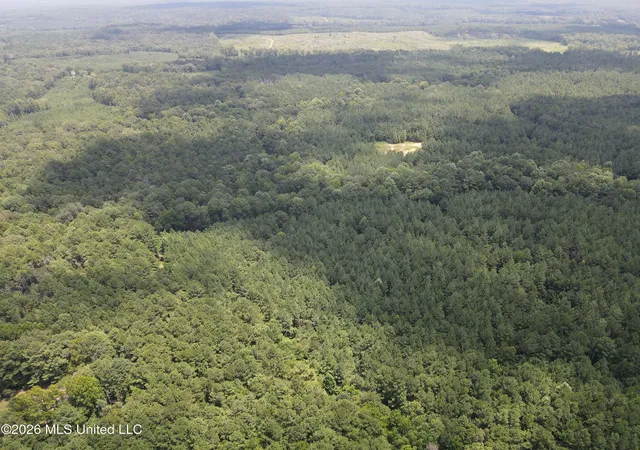 Photo 3 of Land for sale at Ms 28, Pattison, MS 39144 | MLS# 4158936 | Listing updated on 2026-08-12