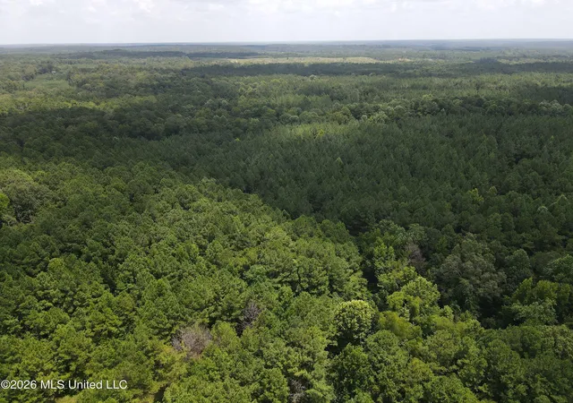 Photo 3 of Land for sale at Ms 28, Pattison, MS 39144 | MLS# 4158936 | Listing updated on 2026-08-12