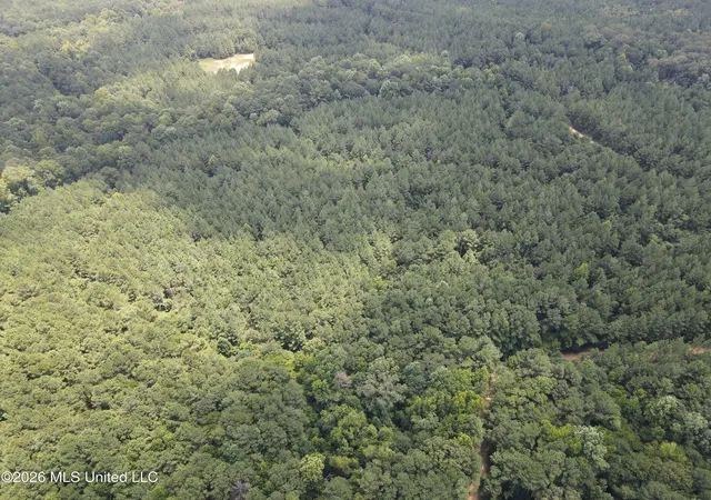 Photo 4 of Land for sale at Ms 28, Pattison, MS 39144 | MLS# 4158936 | Listing updated on 2026-08-12