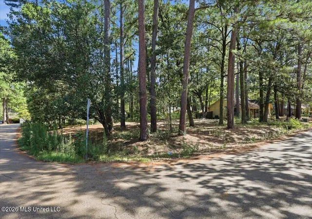 Photo 3 of Sale Pending at 138 Dogwood Cir, Brandon, MS 39047 | MLS# 4158918 | Listing updated on 2026-10-10