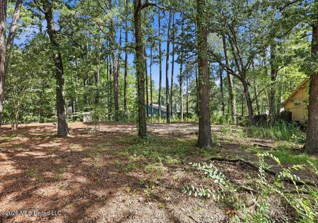 Photo 4 of Sale Pending at 138 Dogwood Cir, Brandon, MS 39047 | MLS# 4158918 | Listing updated on 2026-10-10
