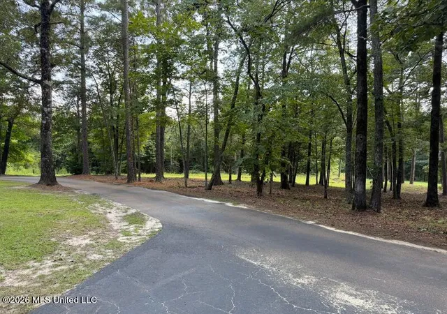 Photo 3 of Single family home for sale at 18159 Highway 15, Decatur, MS 39327 | MLS# 4159694 | Listing updated on 2026-08-19