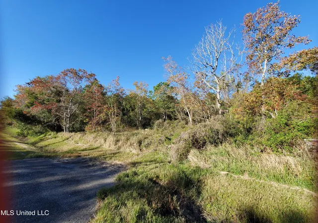 Photo 9 of Land for sale at 3098 Washington St, Bay Saint Louis, MS 39520 | MLS# 4158998 | Listing updated on 2026-08-13