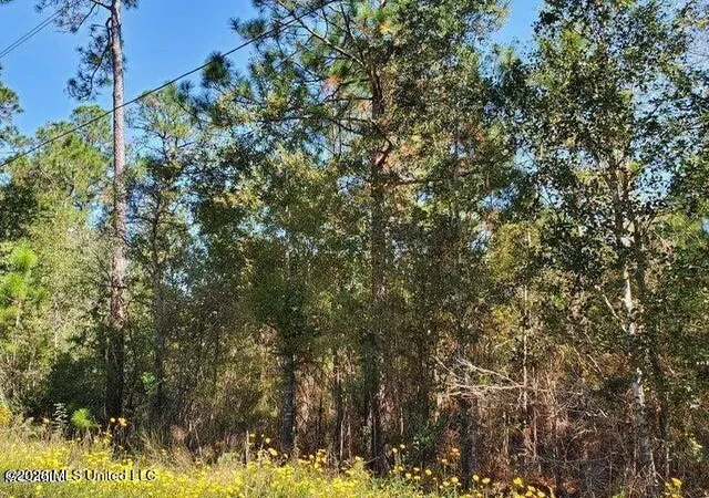 Photo 1 of Land for sale at Lots 2 3 Tigris St, Bay Saint Louis, MS 39520 | MLS# 4158999 | Listing updated on 2026-08-12