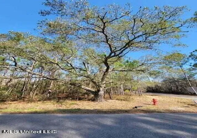 Photo 12 of Land for sale at 0 Wolf St, Bay Saint Louis, MS 39520 | MLS# 4158996 | Listing updated on 2026-08-13