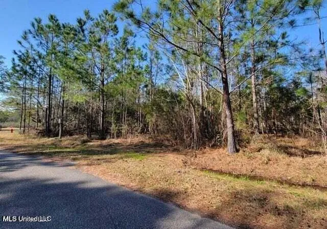 Photo 1 of Land for sale at 0 Wolf St, Bay Saint Louis, MS 39520 | MLS# 4158996 | Listing updated on 2026-08-13