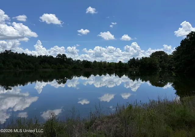 Photo 1 of Land for sale at 2895 Silver Run Rd, Poplarville, MS 39470 | MLS# 4159011 | Listing updated on 2026-08-13