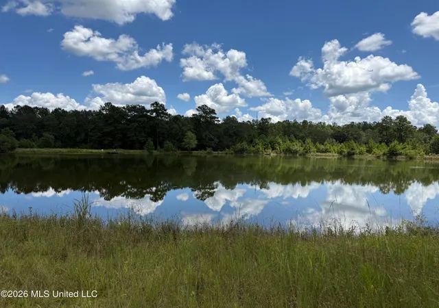 Photo 2 of Land for sale at 2895 Silver Run Rd, Poplarville, MS 39470 | MLS# 4159011 | Listing updated on 2026-08-13