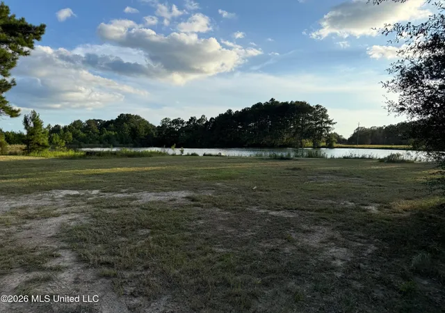Photo 3 of Land for sale at 2895 Silver Run Rd, Poplarville, MS 39470 | MLS# 4159011 | Listing updated on 2026-08-13