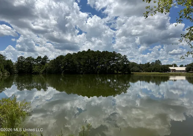 Photo 3 of Land for sale at 2895 Silver Run Rd, Poplarville, MS 39470 | MLS# 4159011 | Listing updated on 2026-08-13