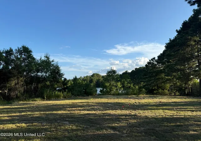 Photo 4 of Land for sale at 2895 Silver Run Rd, Poplarville, MS 39470 | MLS# 4159011 | Listing updated on 2026-08-13