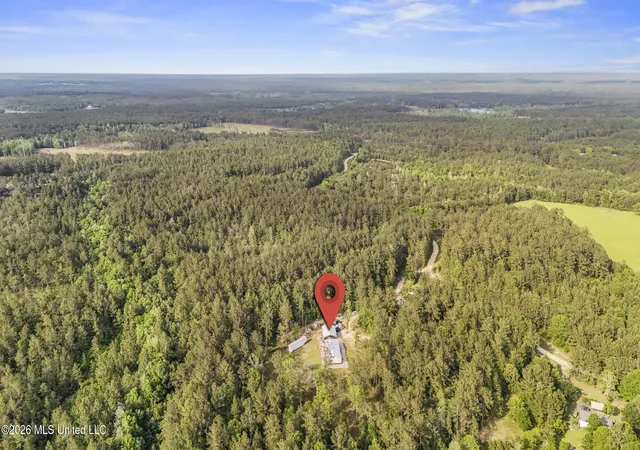 Photo 4 of Land for sale at 0 Saint Angelo, Poplarville, MS 39470 | MLS# 4159701 | Listing updated on 2026-08-19