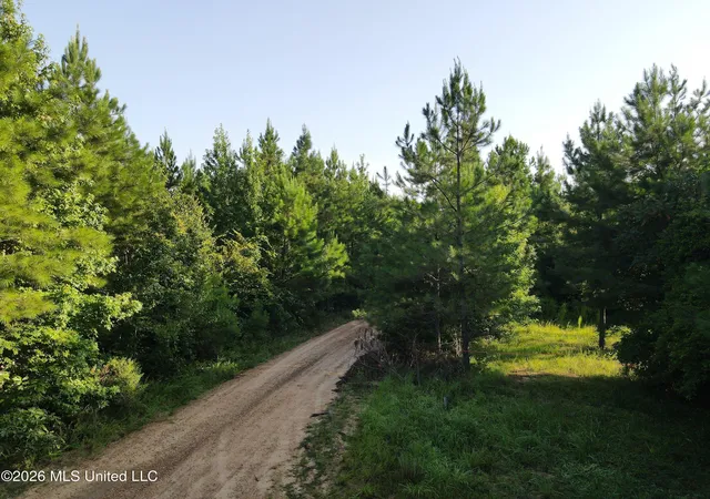 Photo 2 of Land for sale at Cupit Rd, Union Church, MS 39668 | MLS# 4158979 | Listing updated on 2026-08-12