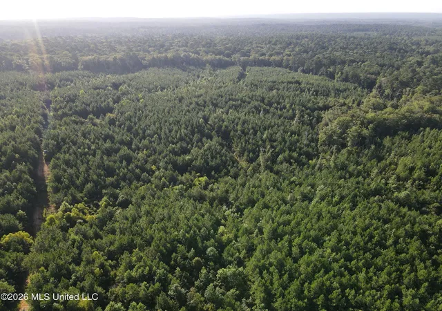Photo 3 of Land for sale at Cupit Rd, Union Church, MS 39668 | MLS# 4158979 | Listing updated on 2026-08-12