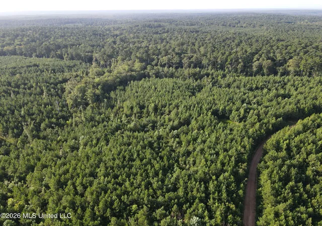 Photo 3 of Land for sale at Cupit Rd, Union Church, MS 39668 | MLS# 4158979 | Listing updated on 2026-08-12