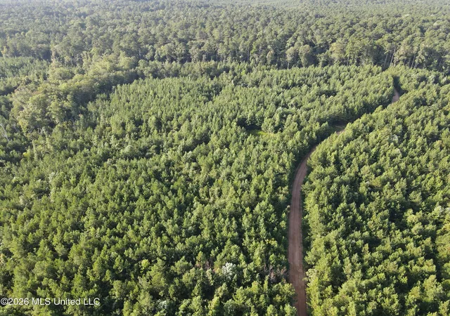 Photo 4 of Land for sale at Cupit Rd, Union Church, MS 39668 | MLS# 4158979 | Listing updated on 2026-08-12