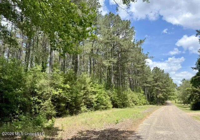 Photo 1 of Land for sale at 000 Old State Line Rd, Tylertown, MS 39667 | MLS# 4159745 | Listing updated on 2026-08-19