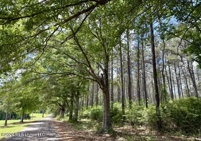Photo 2 of Land for sale at 000 Old State Line Rd, Tylertown, MS 39667 | MLS# 4159745 | Listing updated on 2026-08-19