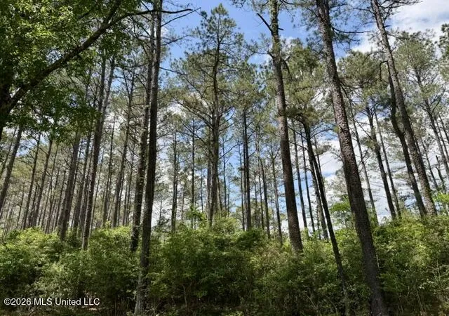 Photo 2 of Land for sale at 000 Old State Line Rd, Tylertown, MS 39667 | MLS# 4159745 | Listing updated on 2026-08-19