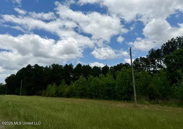 Photo 3 of Land for sale at 000 Old State Line Rd, Tylertown, MS 39667 | MLS# 4159745 | Listing updated on 2026-08-19