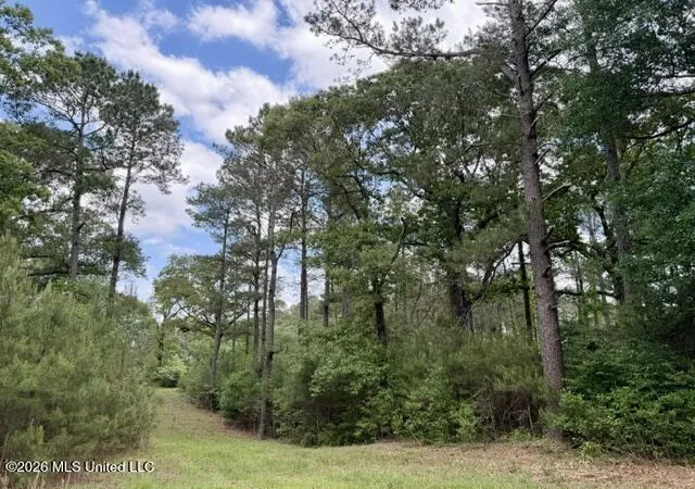 Photo 4 of Land for sale at 000 Old State Line Rd, Tylertown, MS 39667 | MLS# 4159745 | Listing updated on 2026-08-19