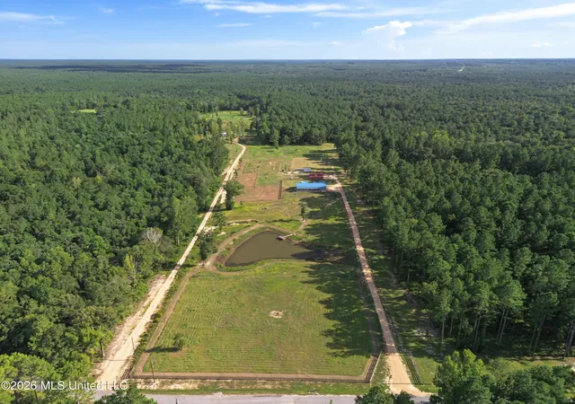 2nd image of 222a Prissie Branch Rd, Perkinston, MS 39573 | MLS# 4159141