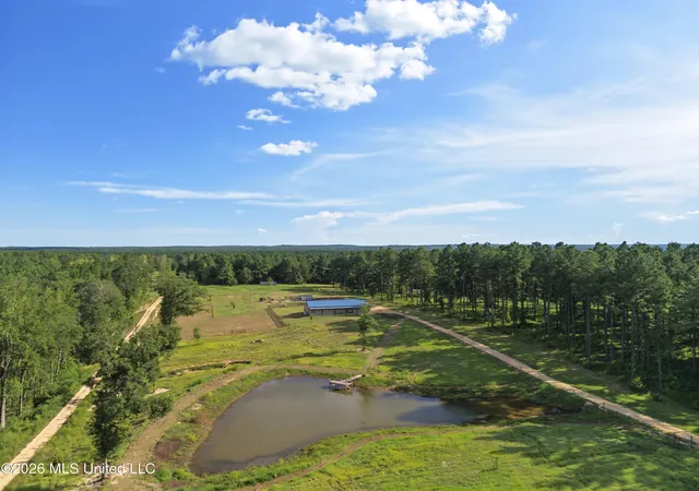 42nd image of 222a Prissie Branch Rd, Perkinston, MS 39573 | MLS# 4159141