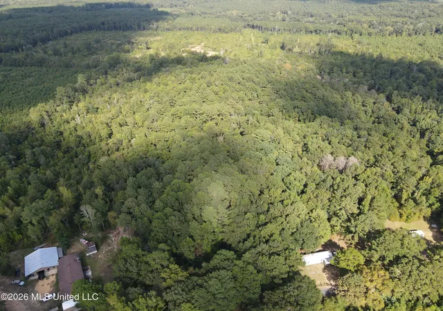 Photo 2 of Land for sale at Blanchard Ln, Silver Creek, MS 39663 | MLS# 4159007 | Listing updated on 2026-08-13