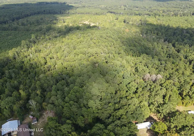 Photo 2 of Land for sale at Blanchard Ln, Silver Creek, MS 39663 | MLS# 4159007 | Listing updated on 2026-08-13