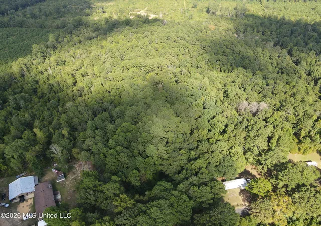 Photo 3 of Land for sale at Blanchard Ln, Silver Creek, MS 39663 | MLS# 4159007 | Listing updated on 2026-08-13