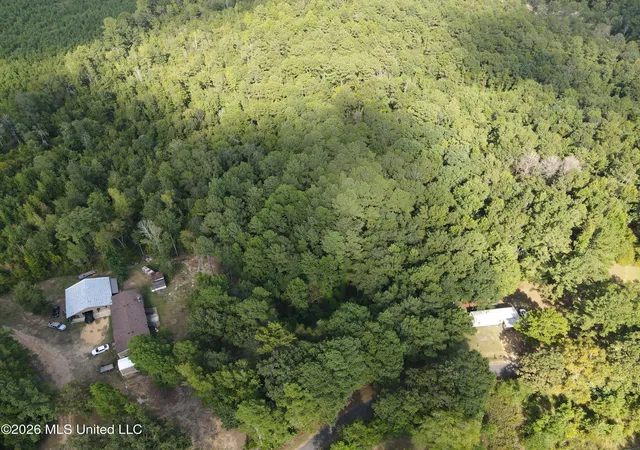 Photo 5 of Land for sale at Blanchard Ln, Silver Creek, MS 39663 | MLS# 4159007 | Listing updated on 2026-08-13