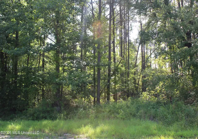 Photo 2 of Sale Pending at 3001 Wilkins Chapel Rd, Holly Springs, MS 38635 | MLS# 4159028 | Listing updated on 2026-08-13